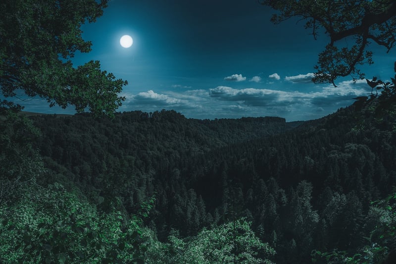 Moon Charm