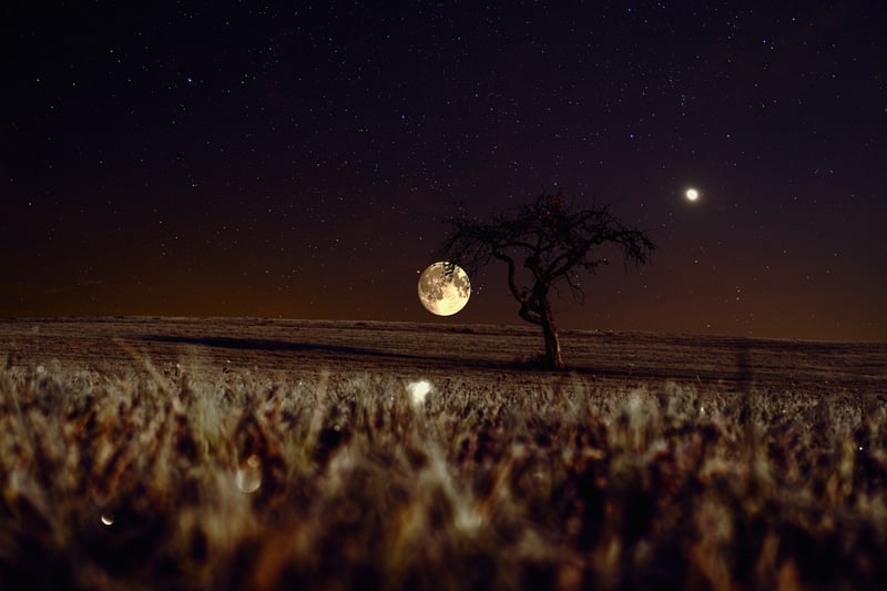 Moonlit Romance